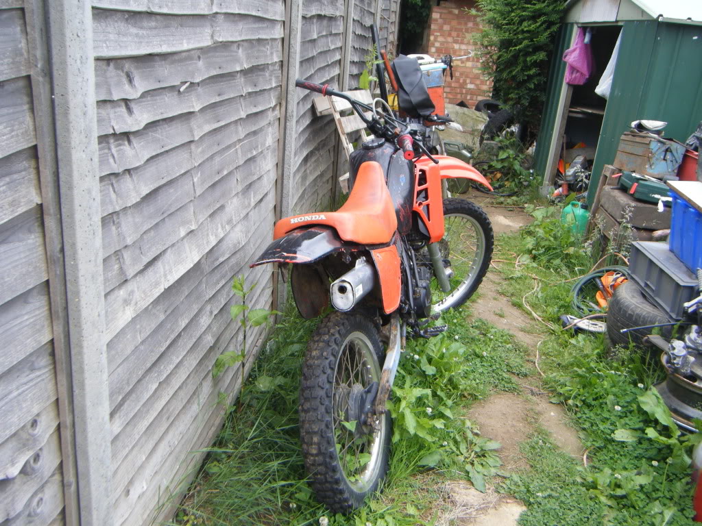 2009_0617bike0029.jpg