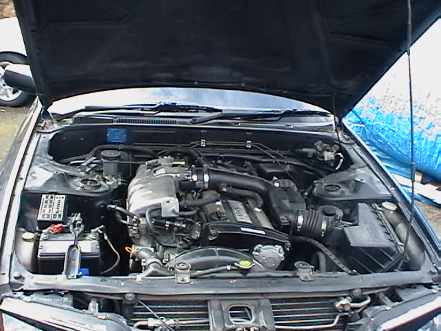 d9133e6f.jpg