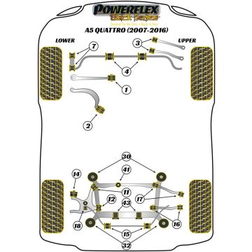 Powerflex Bushes for Audi A5 / S5 / RS5 (2007-2016) A5 Quattro (2007-2016)