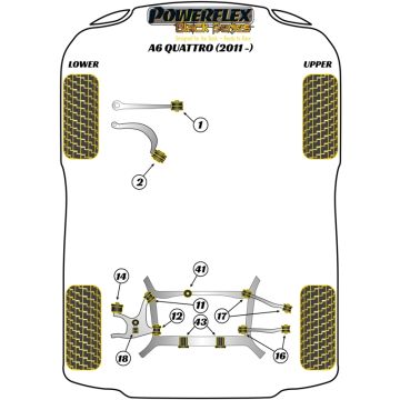 Powerflex Bushes for Audi A6 / S6 / RS6 (2011 - ) A6 Quattro (2011 - )