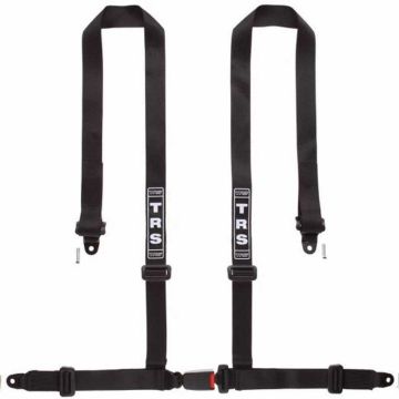 TRS Bolt In 4 Point Road Harness - Black